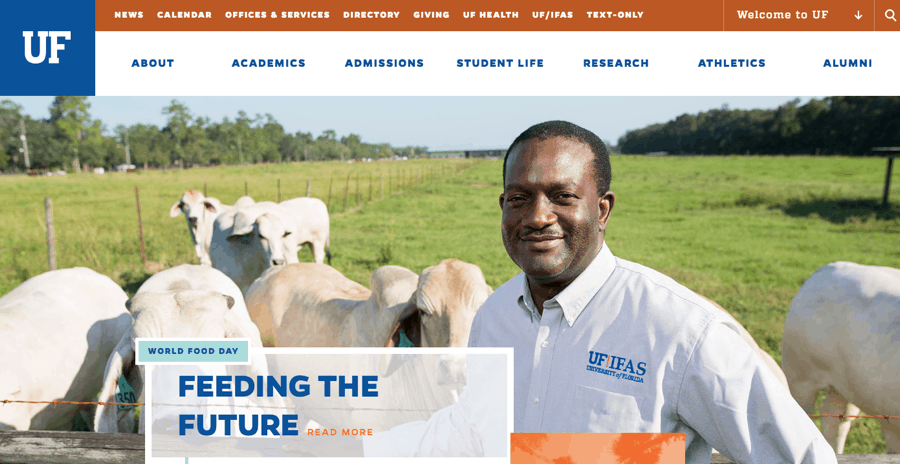 University of Florida Homepage