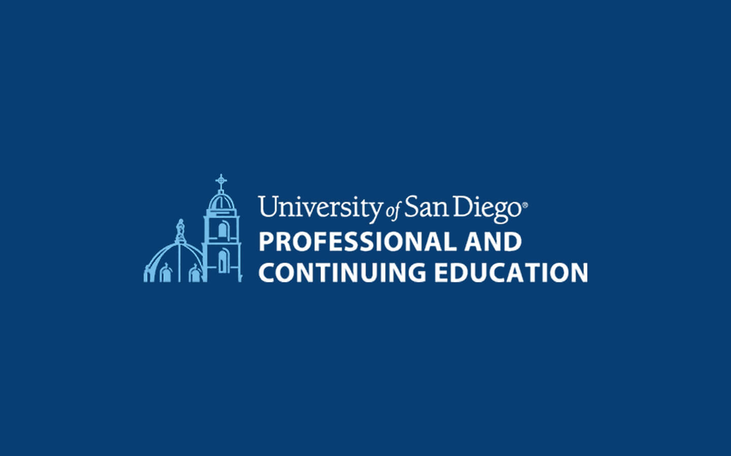 USD PCE Logo Image